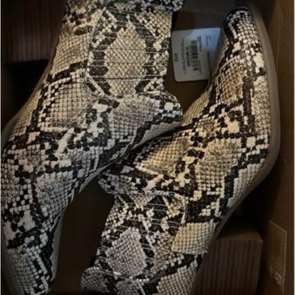 New Snakeskin Ankle Boots - Black and Cream